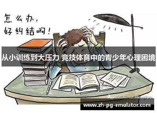 从小训练到大压力 竞技体育中的青少年心理困境 从小训练到大压力 竞技体育中的青少年心理困境
